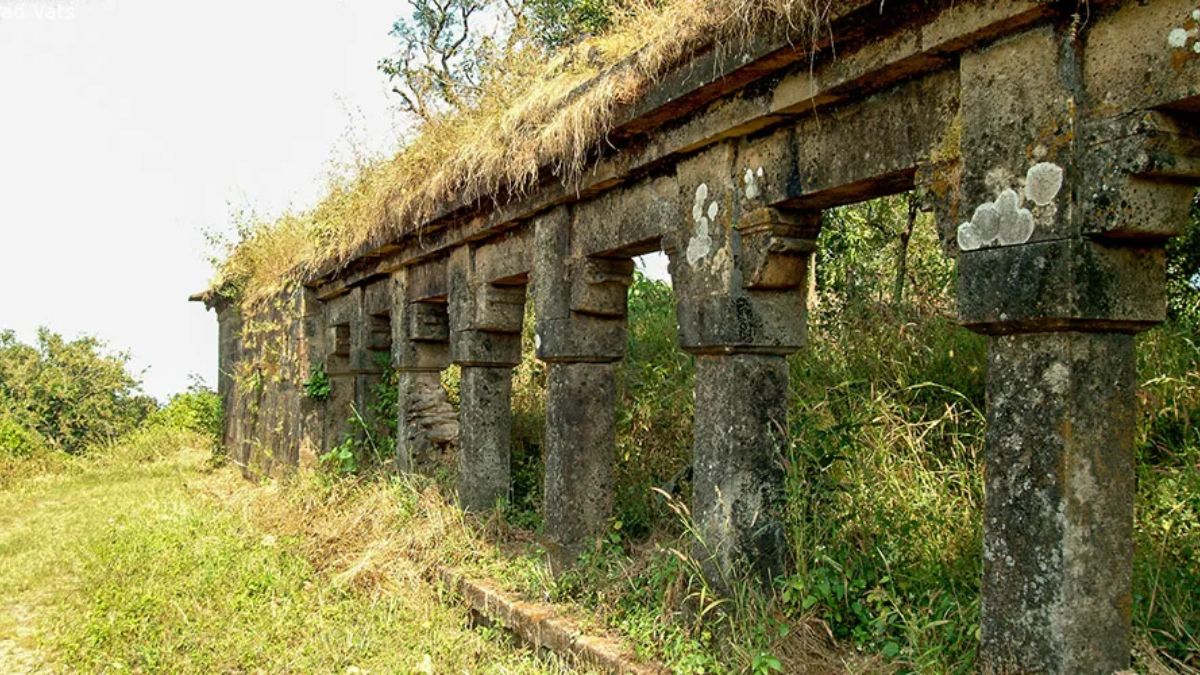 naidunia_image
